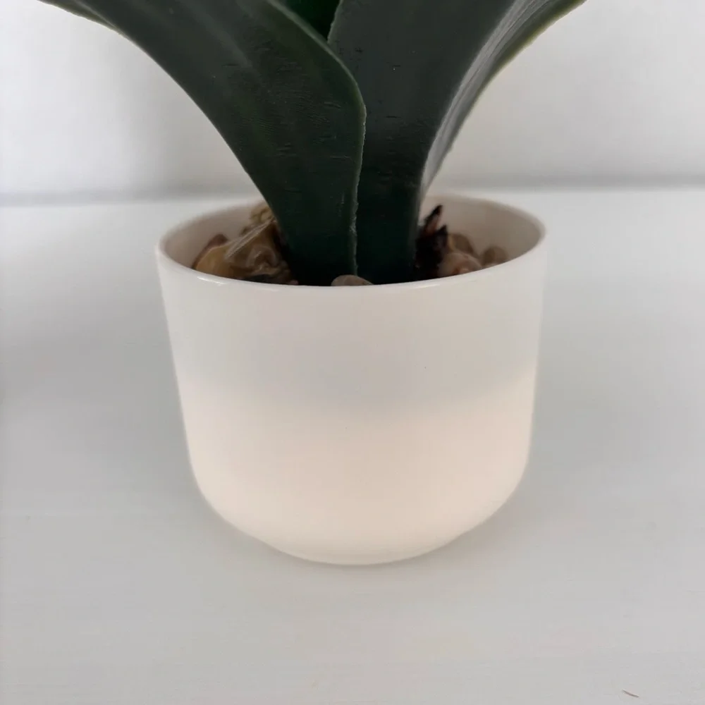Threshold faux potted